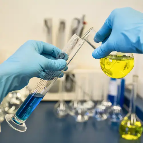 Trans Trade International