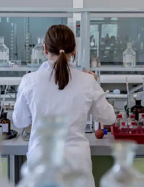 Services of Trans Trade International