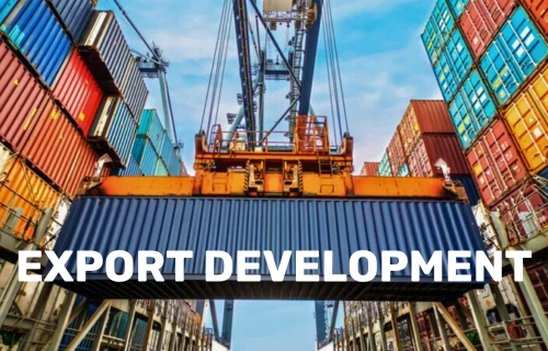 Export Development